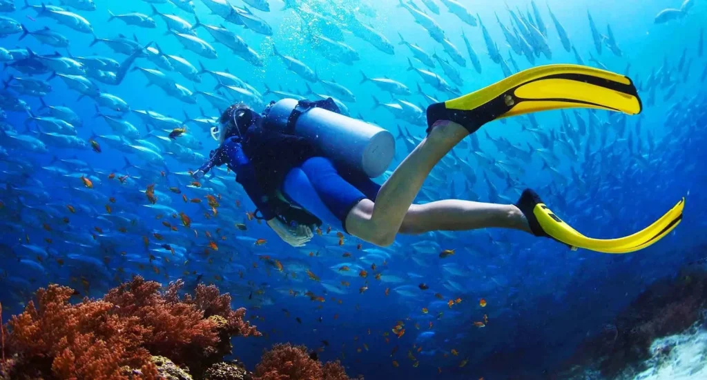 Tour trải nghiệm lặn biển Nam Phú Quốc