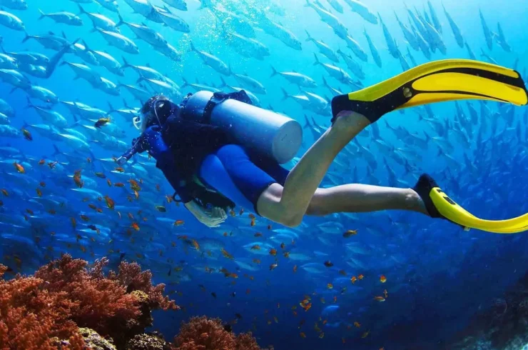 Tour trải nghiệm lặn biển Nam Phú Quốc