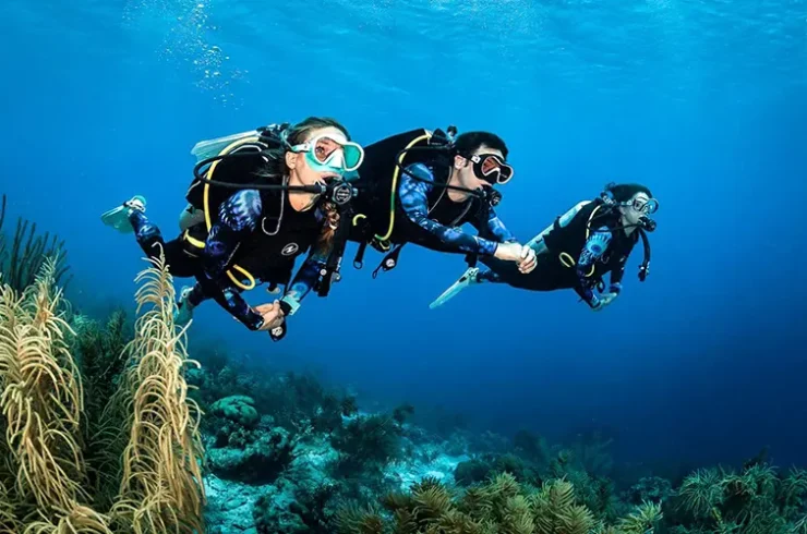 Tour trải nghiệm lặn biển Nam Phú Quốc