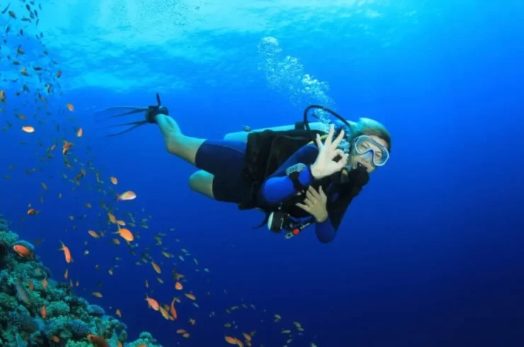 Tour trải nghiệm lặn biển Nam Phú Quốc