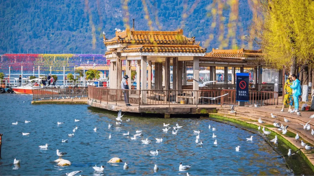 Tour Hà Nội – Côn Minh – Kiệu Tử Sơn 4N3Đ