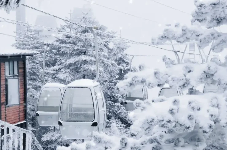 Tour Hà Nội – Côn Minh – Kiệu Tử Sơn 4N3Đ