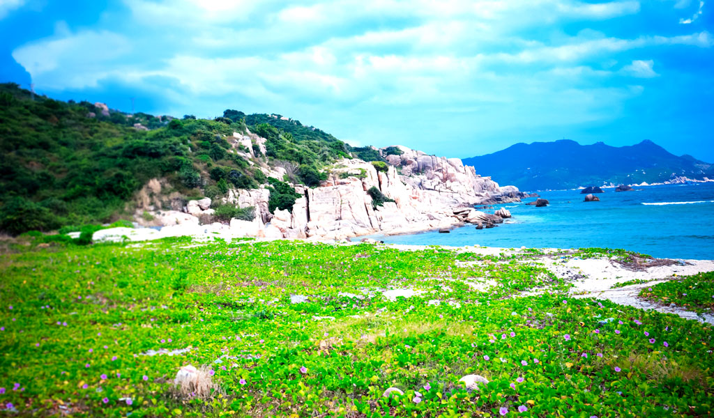 bai-chuong-dao-binh-ba