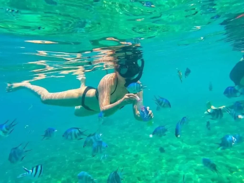 Lịch trình tour 3 đảo hòn mun