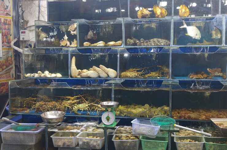 Hải sản sống chợ đêm Phú Quốc