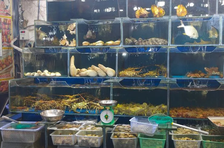 Hải sản sống chợ đêm Phú Quốc