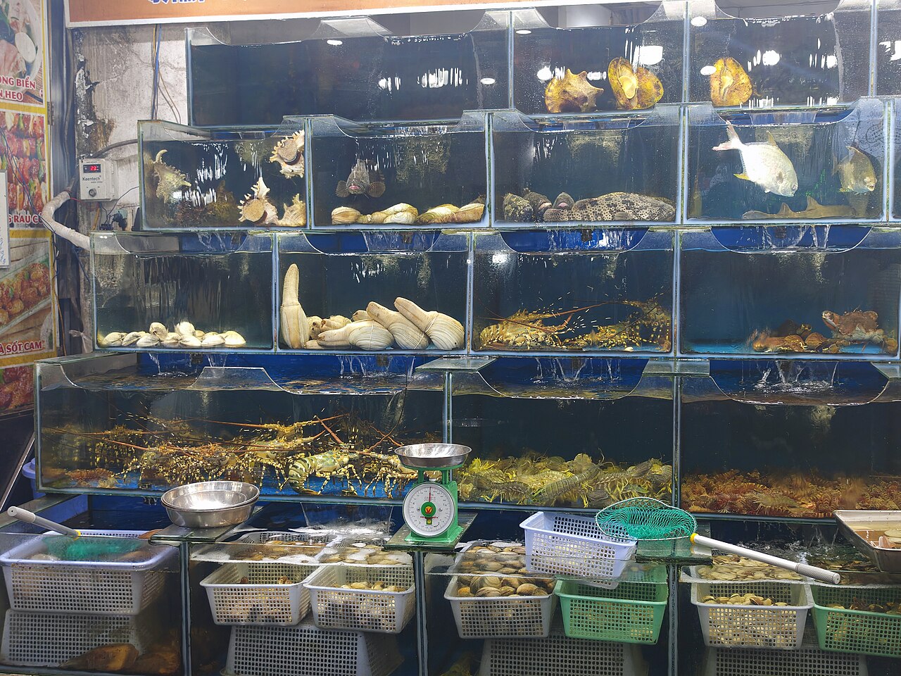 Hải sản sống chợ đêm Phú Quốc
